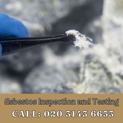 Comprehensive Asbestos Inspection and Testing Services in Downside